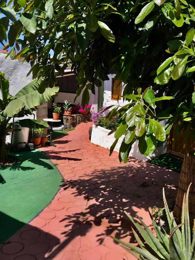 Finca Casa Madera 1 Ікод-де-лос-Вінос Екстер'єр фото